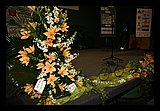 IMG_0153.JPG
