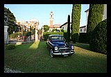 IMG_0481.jpg