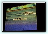 IMG_8886.jpg