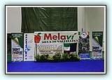 IMG_6687.JPG