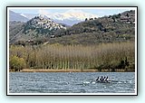 IMG_2792.jpg