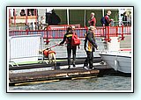 IMG_2797.JPG
