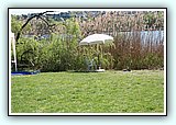 IMG_0524.JPG