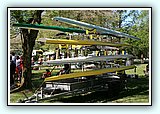 IMG_0553.JPG
