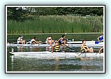 IMG_8517.jpg