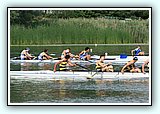 IMG_8518.jpg