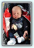IMG_7195.jpg
