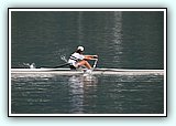 IMG_0076.jpg