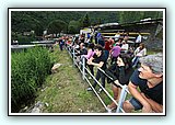 IMG_7120.jpg