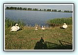 IMG_1213.jpg