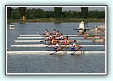 IMG_1249.jpg