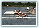IMG_1250.jpg