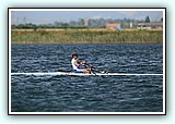 IMG_3093.jpg