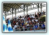 IMG_0960.jpg