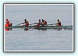 IMG_8403.jpg