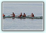 IMG_8404.jpg