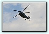 IMG_8425.jpg