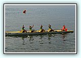 IMG_8453.jpg