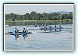 IMG_0971.jpg