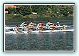 IMG_2502.jpg