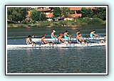 IMG_2505.jpg