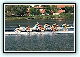 IMG_2506.jpg