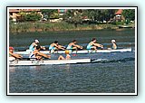 IMG_2509.jpg