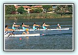 IMG_2511.jpg