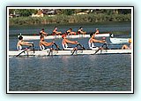 IMG_2513.jpg