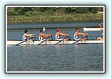 IMG_2516.jpg