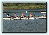 IMG_2517.jpg