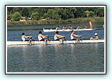 IMG_2523.jpg