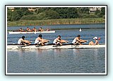 IMG_2529.jpg