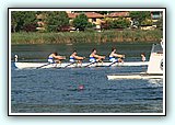 IMG_2531.jpg