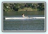 IMG_2543.jpg
