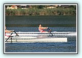 IMG_2565.jpg