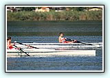 IMG_2566.jpg