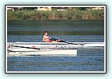 IMG_2567.jpg