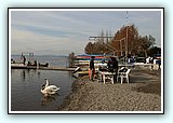IMG_7580.jpg