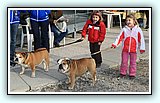 IMG_7603.jpg