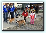 IMG_7605.jpg