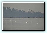 IMG_7622.jpg