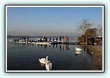 IMG_0027.jpg