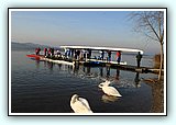 IMG_0033.jpg