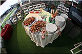 IMG_4791.jpg