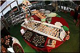 IMG_4792.jpg