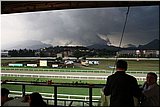 IMG_4815.jpg