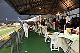 IMG_4816.jpg