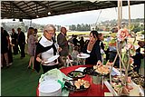 IMG_4820.jpg