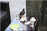 IMG_6373.jpg